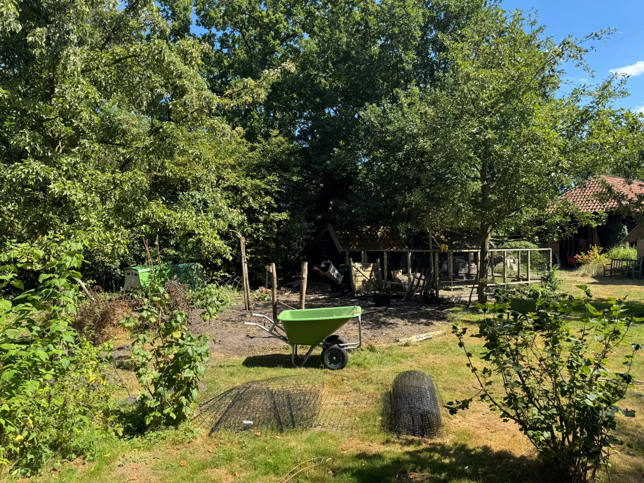 Chicken Fence